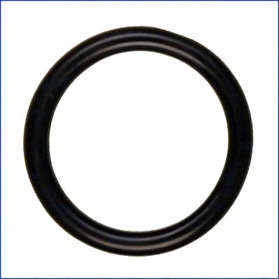 BSG A6079971245 DEVIRDAIM ORINGI MERCEDES 415-176-246-117