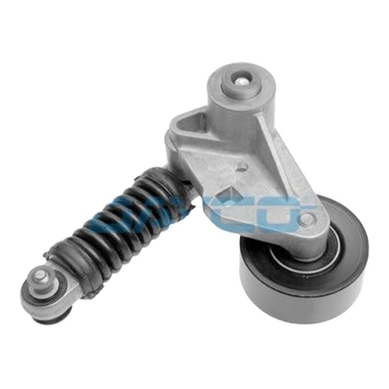DAYCO 5751.52 V KAYIS GERGISI PSA 206