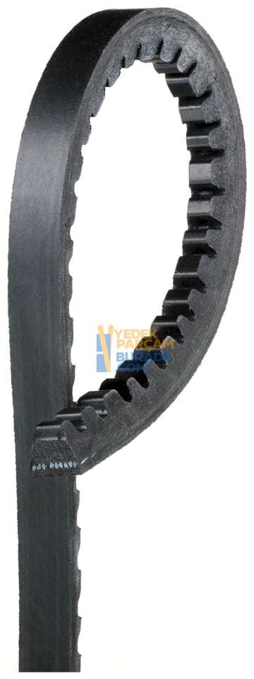 DAYCO 028145271F V KAYISI VW T2