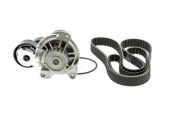 DAYCO 074109119R TRIGER KAYISI VW T4-LT