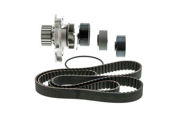 DAYCO 074109119R TRIGER KAYISI VW T4-LT