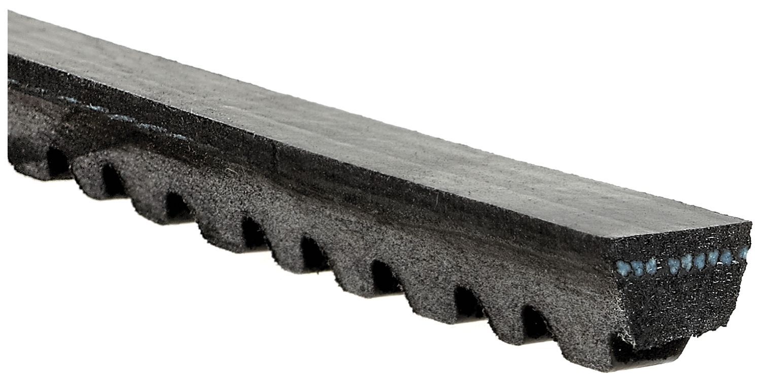 DAYCO 11721312976 V KAYISI BMW