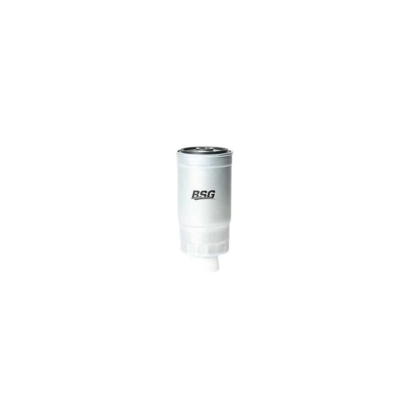 BSG 313003E200 YAKIT FILTRESI KORE SORENTO/H1/STAREX/BOXER/JUMPER/DUCATO/MULTIPLA