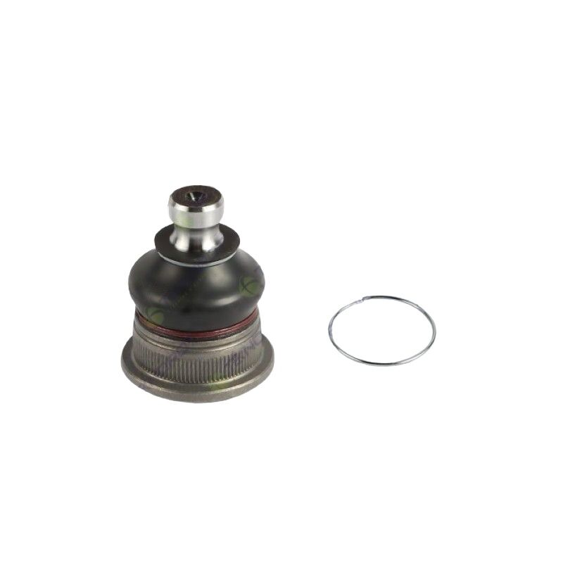 TEKNOROT 40160AX000 ROTIL ALT JAPON MICRA (K12)