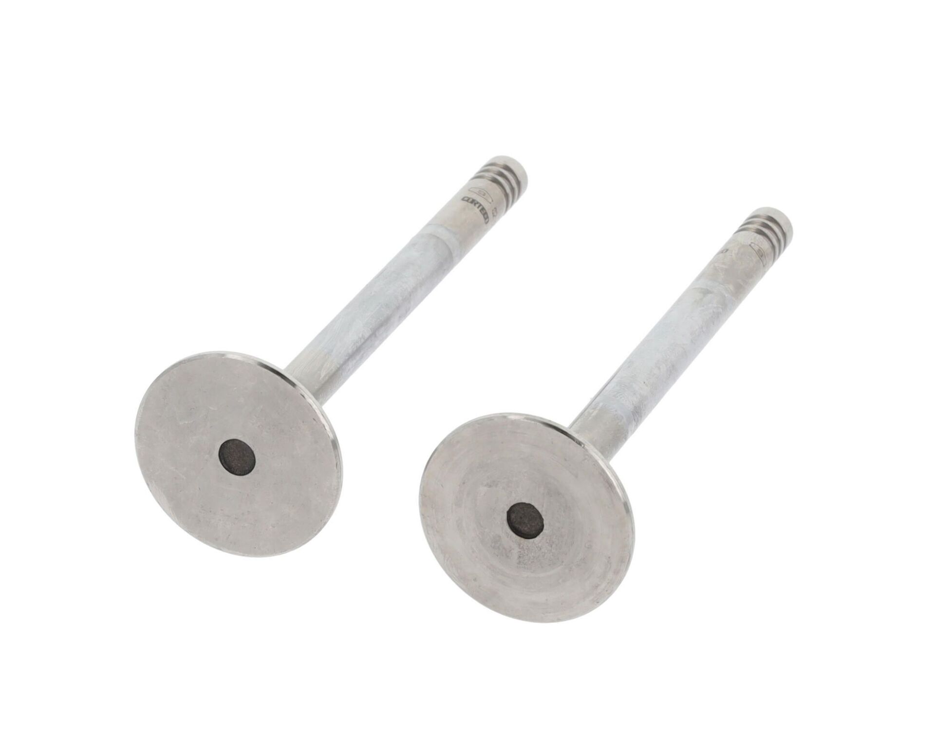 GUNES XS4Q 6505 BA SUPAP EGZOS FORD ESCORT-CONNECT