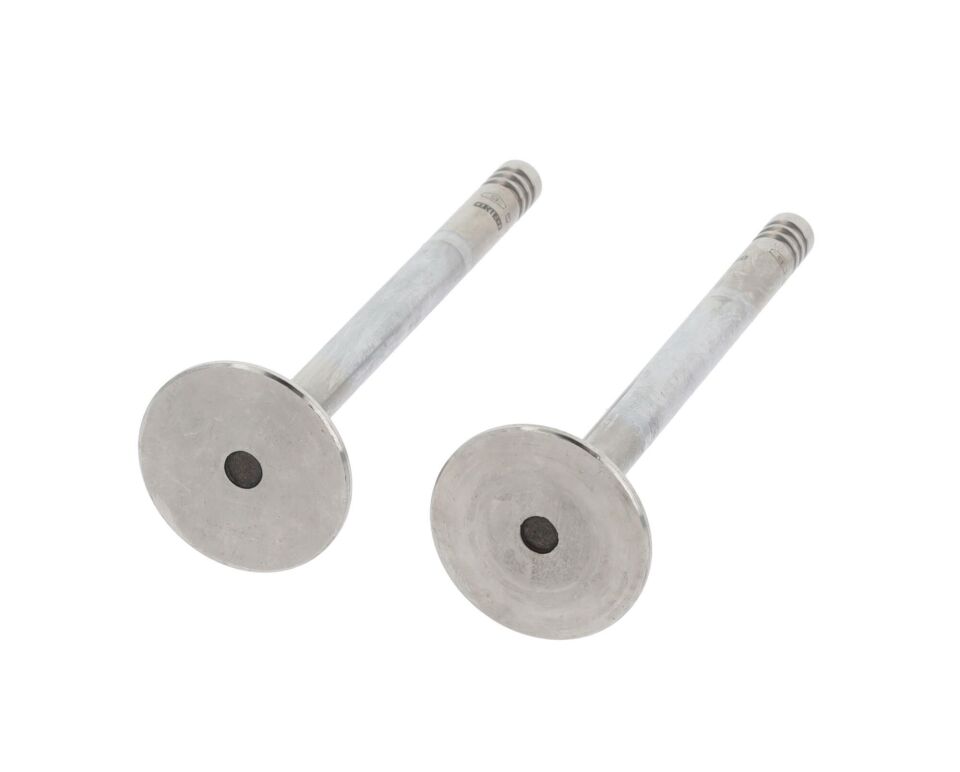 GUNES XS4Q 6505 BA SUPAP EGZOS FORD ESCORT-CONNECT