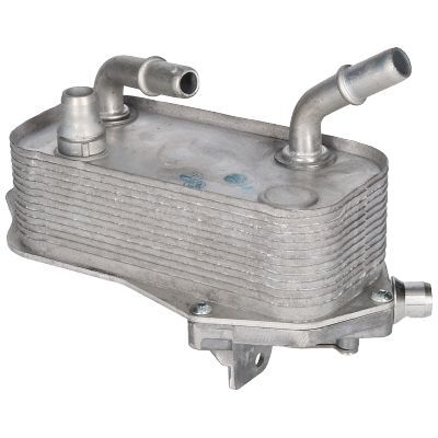 BSG 17217551647 SANZUMAN YAG SOGUTUCU BMW E81-E82-E87-E88-E90-E91-E92-E93-X1 E84-Z4 E89