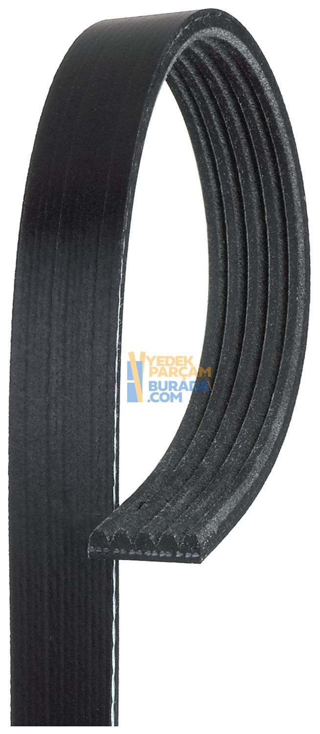 GATES 11282244179 V KAYISI BMW E34-36-39