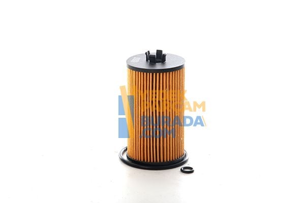 BSG 650163 YAG FILTRESI OPEL ASTRA J ASTRA K INSIGNIA A INSIGNIA B MOKKA MOKKA X MERIVA B ZAFIRA C / B16DTL B16DTH B16DTE B16DTR