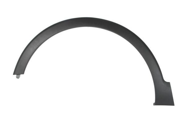 BSG 638131788R ÇAMURLUK BAKALITI RENAULT CAPTUR