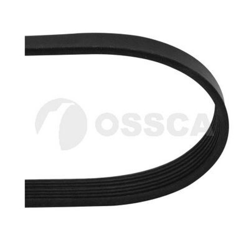 DAYCO 6T1Q 6C301 AC V KAYISI FORD CONNECT
