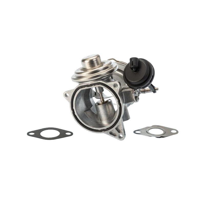WAHLER 070128070F EGR VALFI VW TOUAREG