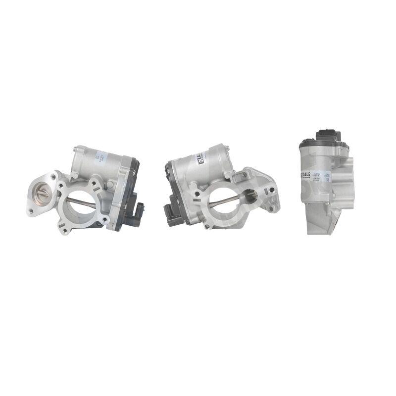 KALE 8200796674 EGR VALFI RENAULT MASTER III/TRAFIC 2,0/MEGANE III SCENIC /SCENIC III/LAGUNA III/LATITUTE