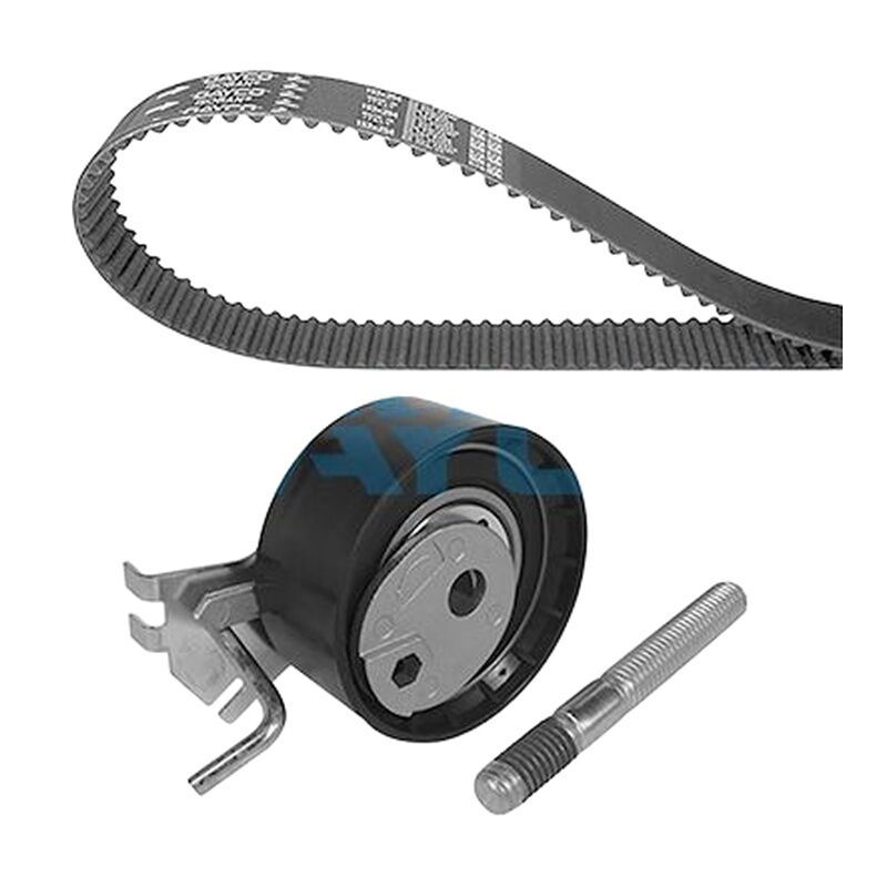 DAYCO 0831.S1 TRIGER SETI PSA 106/206