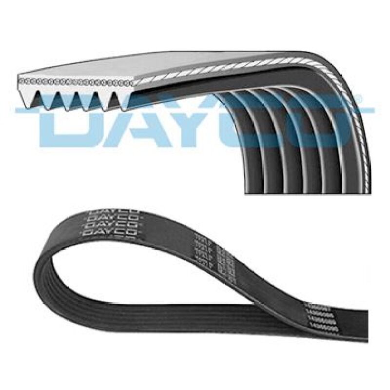 DAYCO 5010295531 V KAYISI AV KERAX, PREMIUM