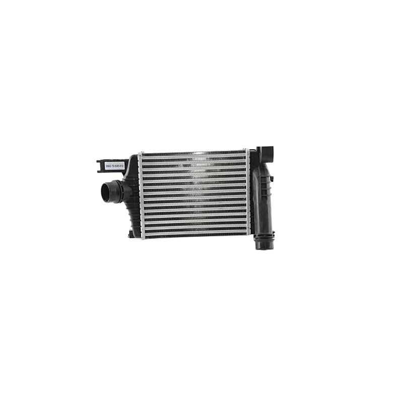 BSG 144961381R TURBO RADYATÖRÜ RENAULT CLIO IV/CAPTUR/DOKKER/DUSTER/LOGAN II MCVCLIO IV/CAPTUR/DOKKER/DUSTER/LOGAN II MCV