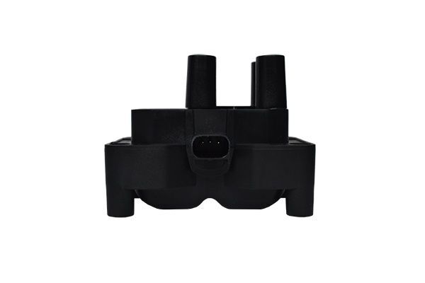 BERU CM5G 12029 FC ATESLEME BOBINI FORD FIESTA/FOCUS/C-MAX/MONDEO